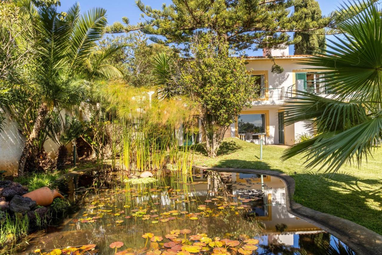 Villa Echium T1 Caniço Esterno foto