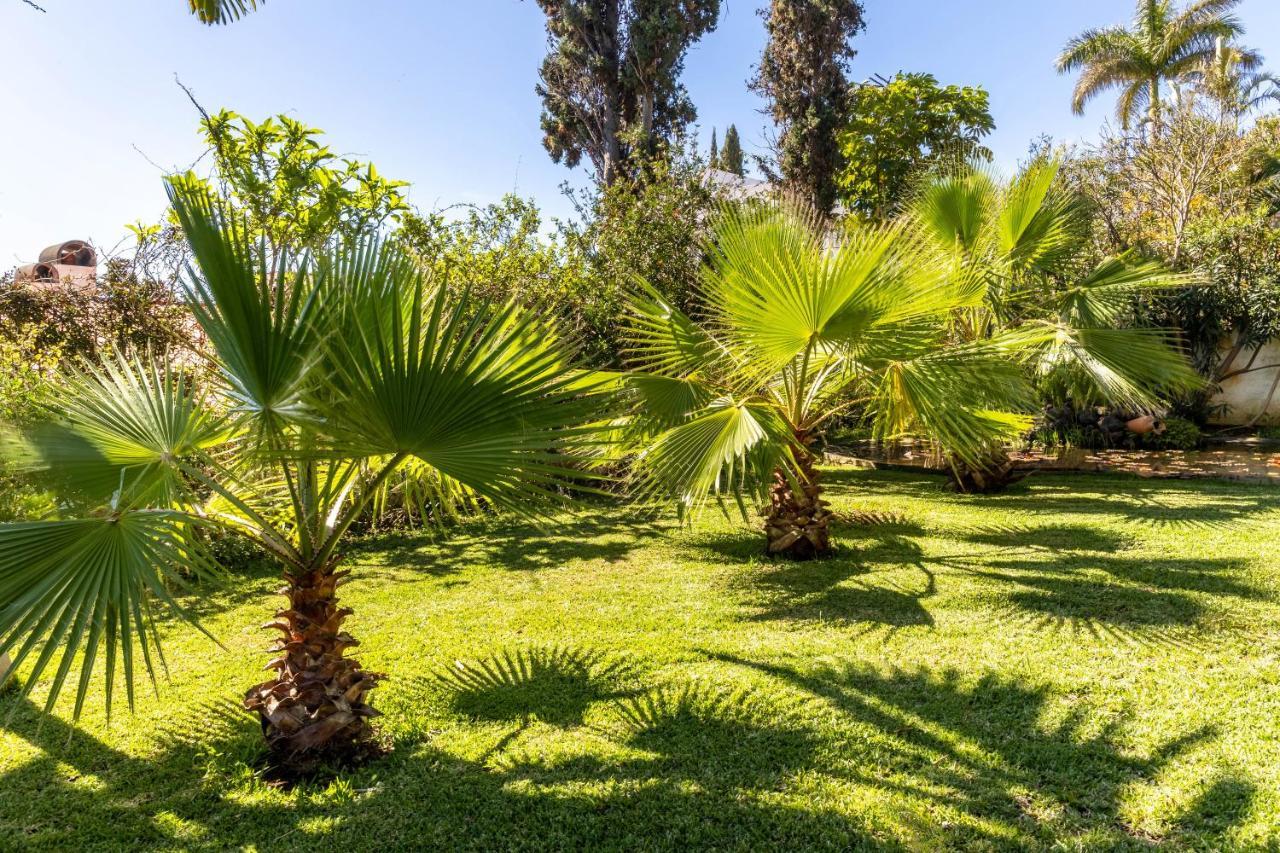 Villa Echium T1 Caniço Esterno foto